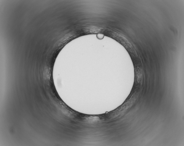 X0000111610374200908281056