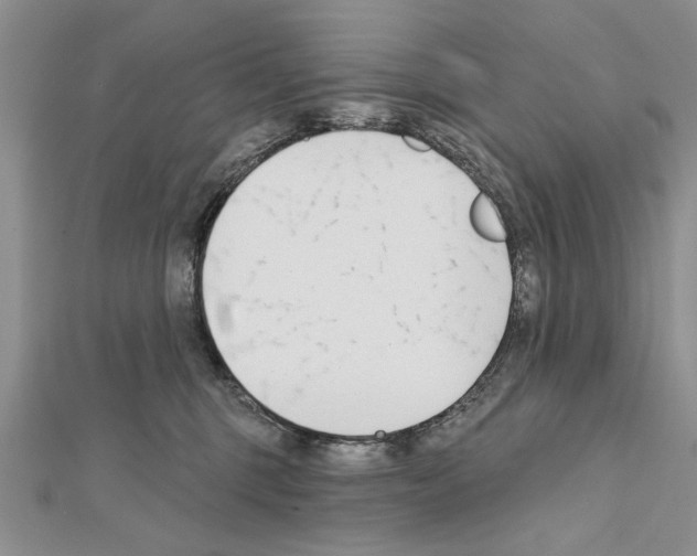 X0000111610375200908281056