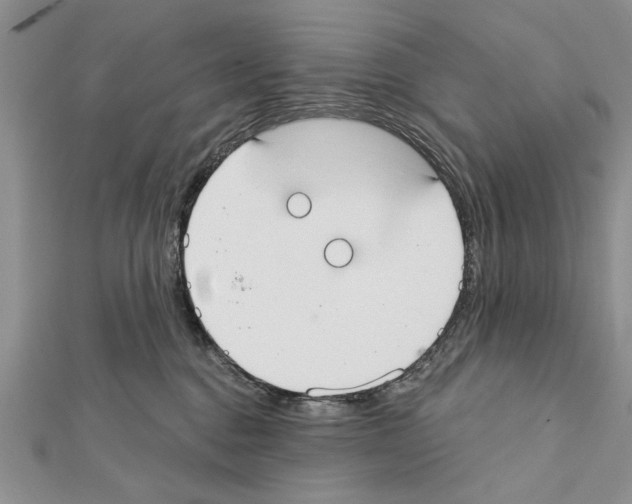 X0000111610376200908281056