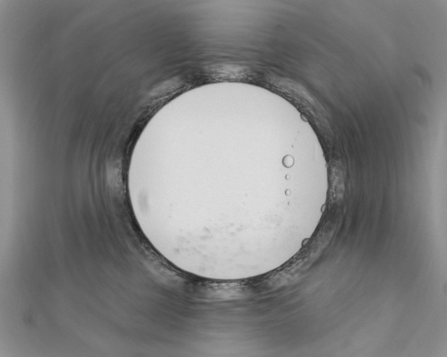 X0000111610377200908281056