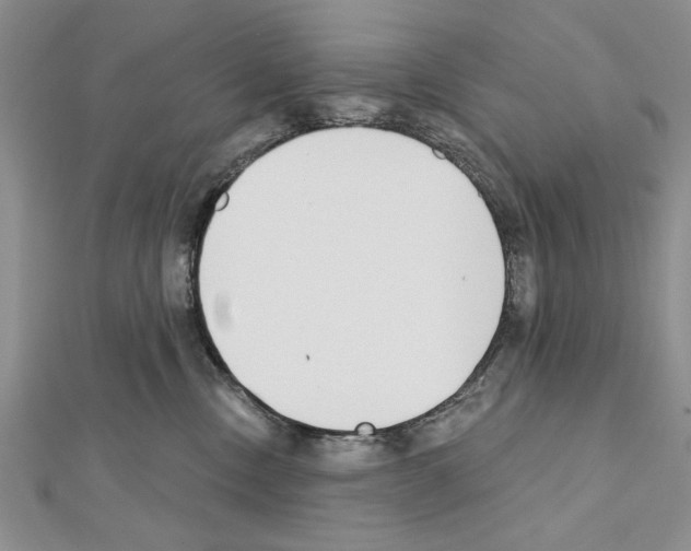 X0000111610378200908281056
