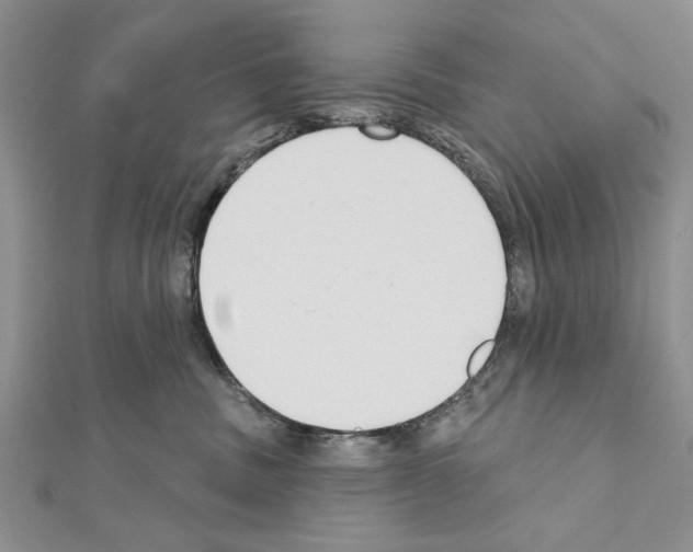 X0000111610379200908281056