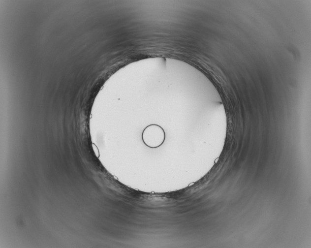 X0000111610380200908281056