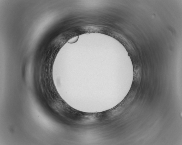 X0000111610381200908281056