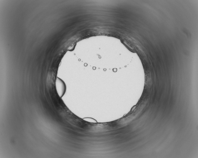X0000111610382200908281056