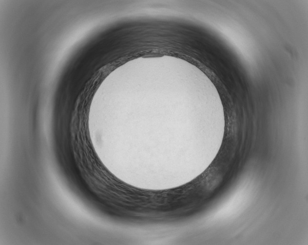 X0000111610383200908281056