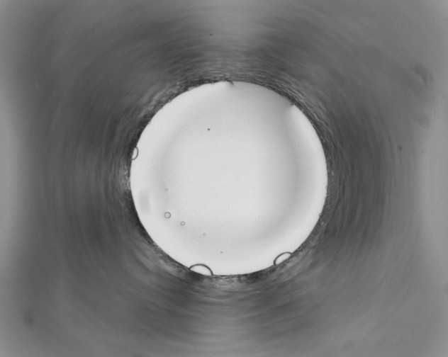 X0000111610384200908281056