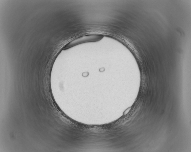 X0000111610385200908281056