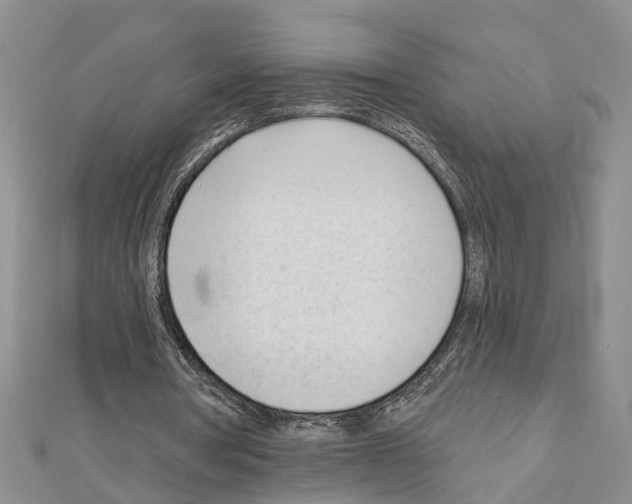 X0000111610386200908281056