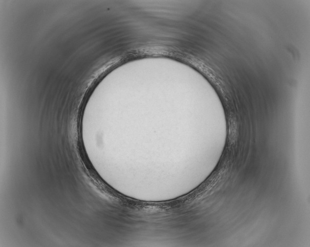 X0000111610390200908281055