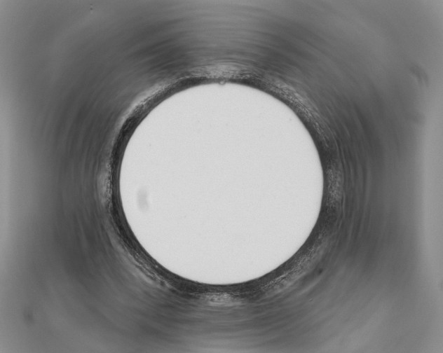 X0000111610392200908281055