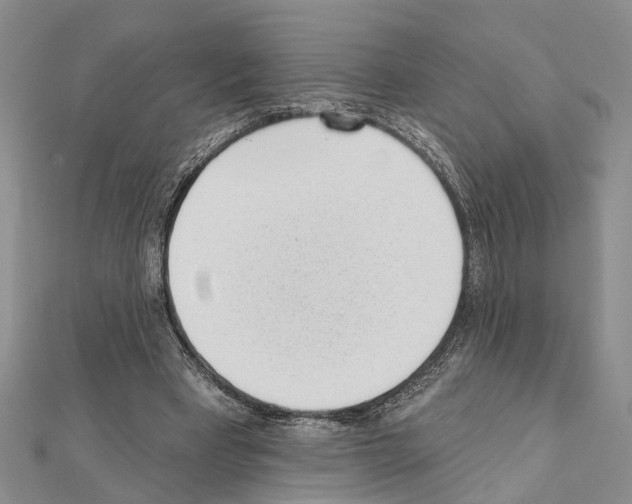 X0000111610393200908281055