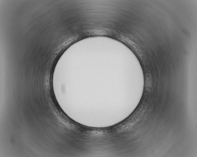 X0000111610394200908281055