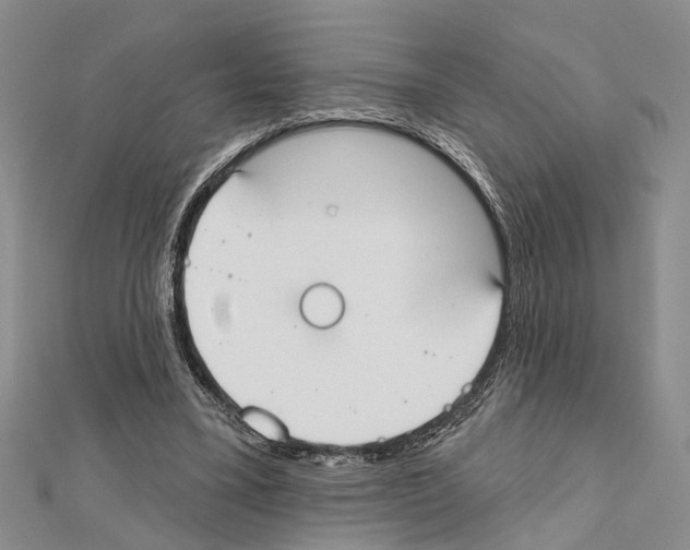 X0000111610395200908281055