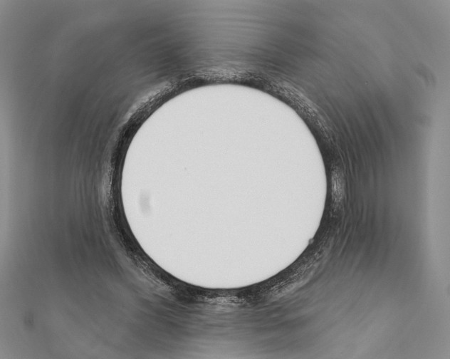 X0000111610396200908281055