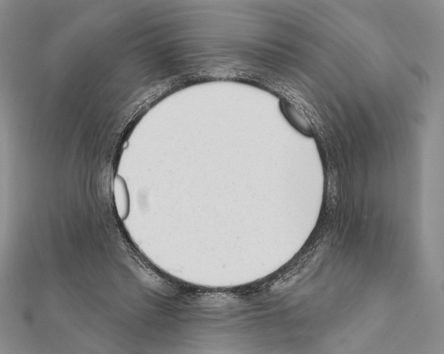 X0000111610397200908281055