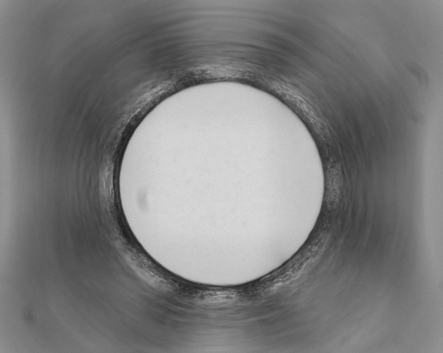 X0000111610398200908281055