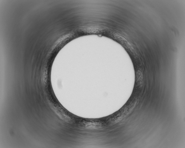 X0000111610400200908281055