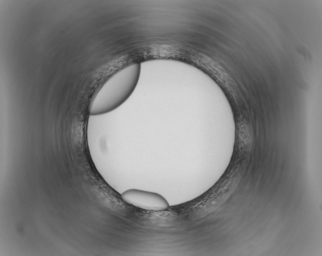 X0000111610401200908281055