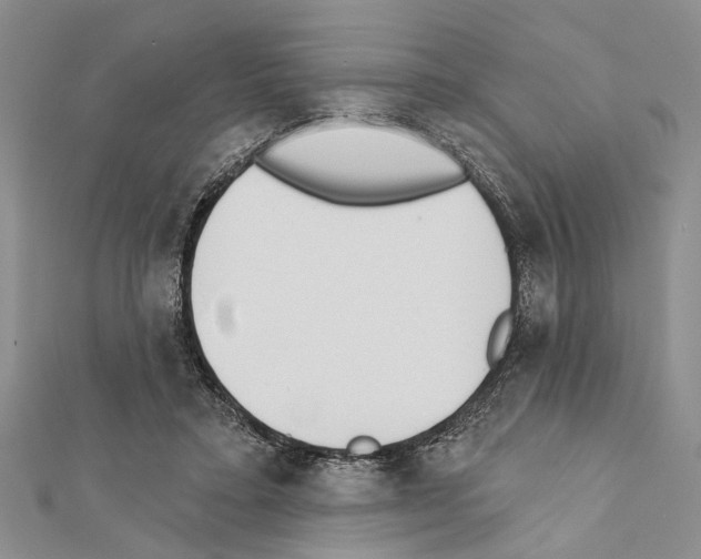 X0000111610403200908281055