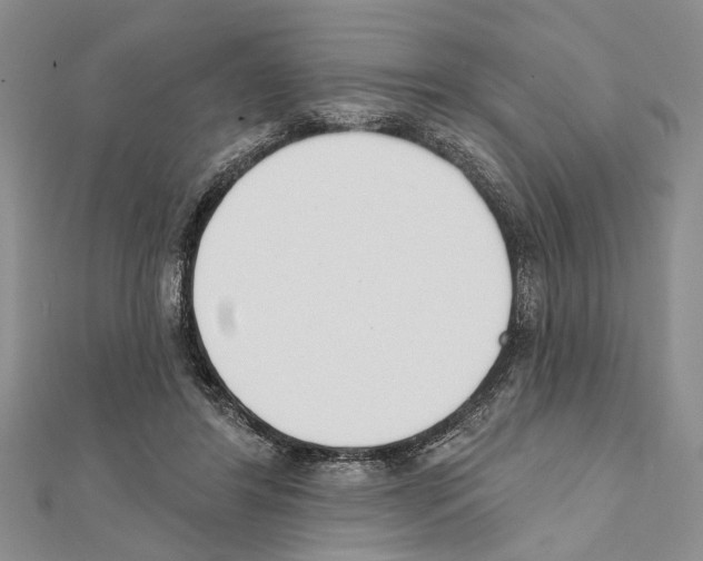 X0000111610404200908281055