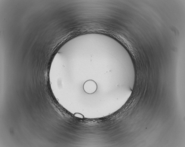 X0000111610405200908281055