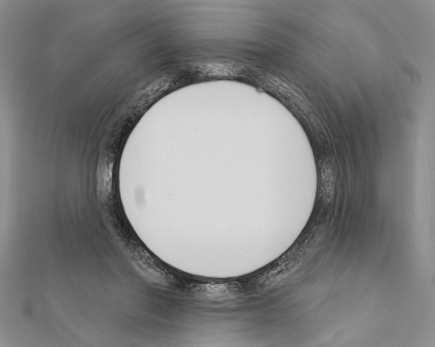 X0000111610406200908281055