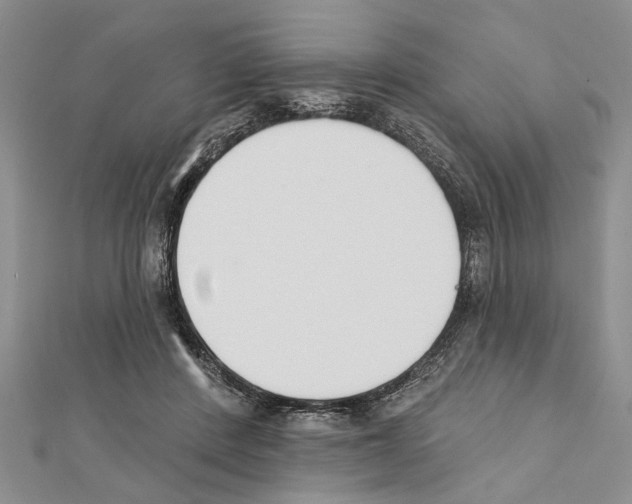 X0000111610408200908281055