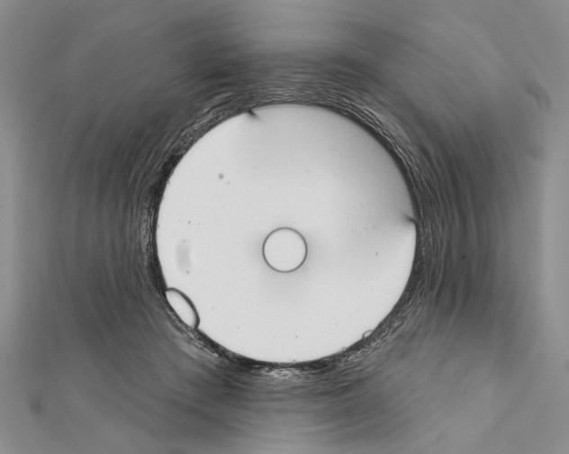 X0000111610409200908281055