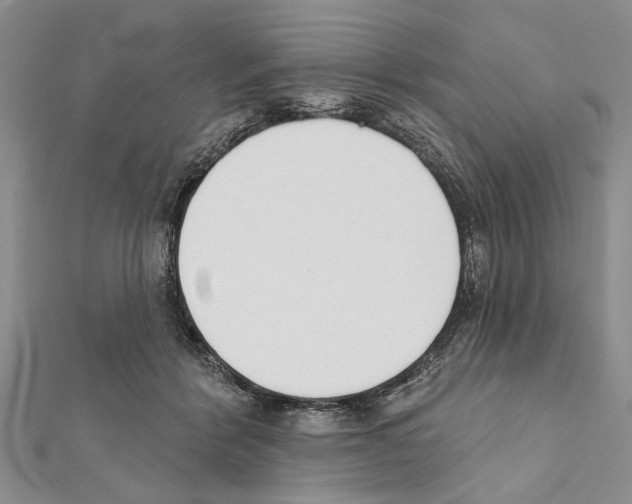 X0000111610412200908281055