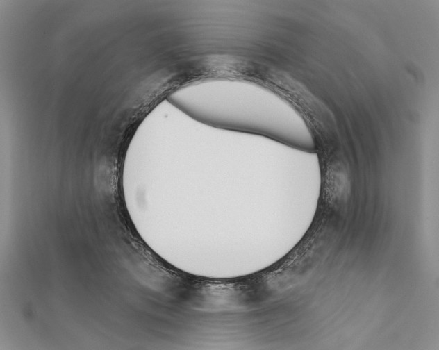 X0000111610413200908281055