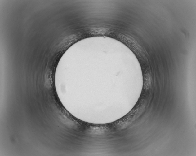 X0000111610414200908281055