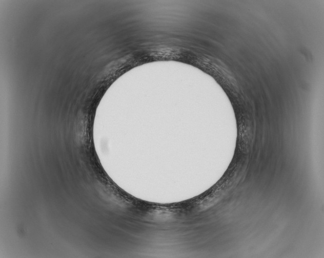 X0000111610416200908281055