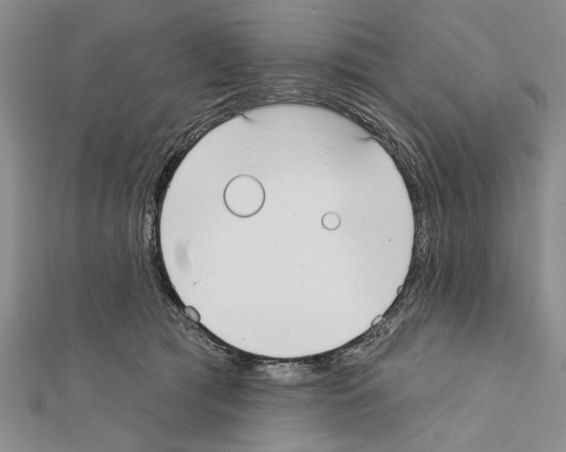X0000111610417200908281055