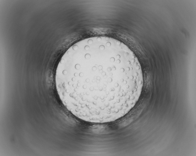 X0000111610418200908281055