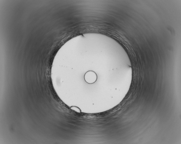 X0000111610419200908281055