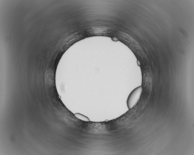 X0000111610421200908281055