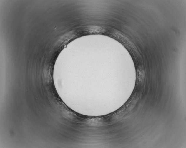 X0000111610422200908281055