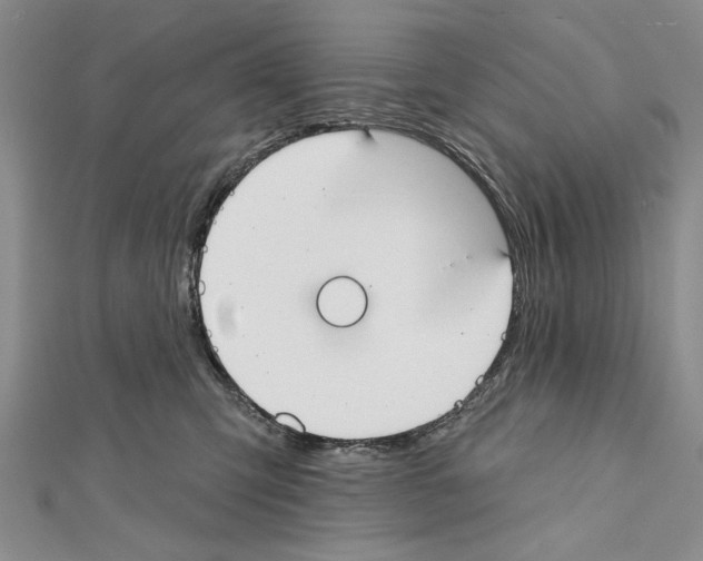 X0000111610423200908281055