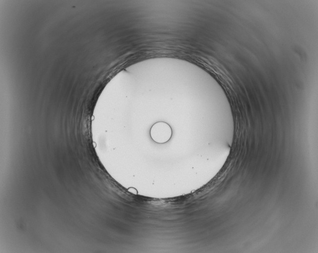 X0000111610425200908281055