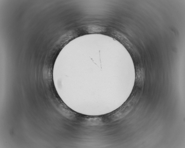 X0000111610426200908281055