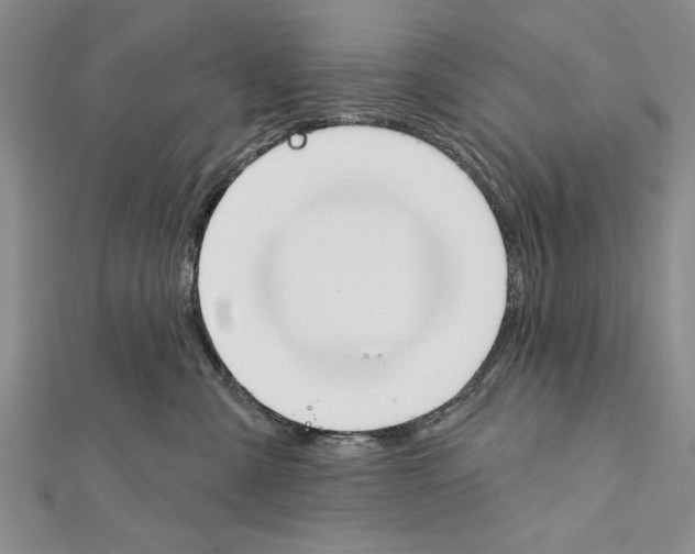 X0000111610427200908281055