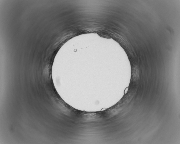 X0000111610428200908281055