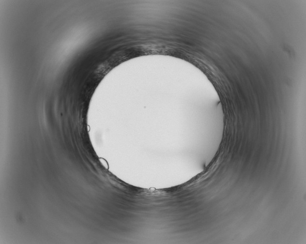 X0000111610429200908281055
