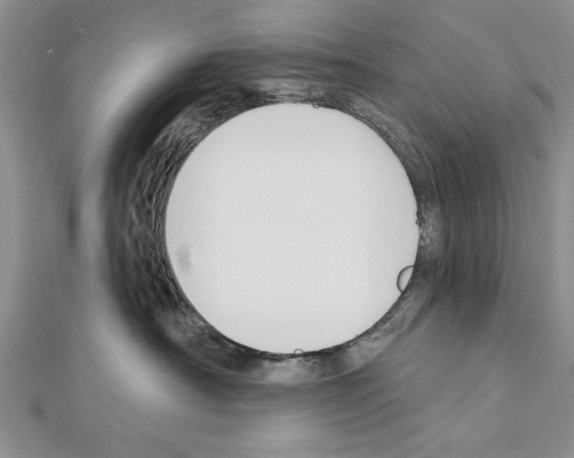 X0000111610430200908281055