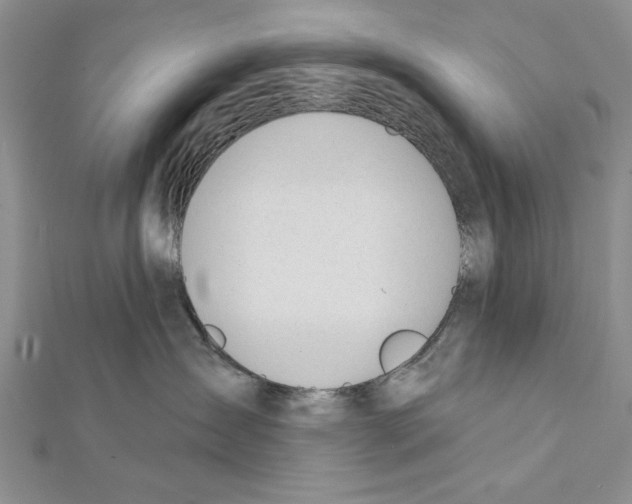 X0000111610431200908281055