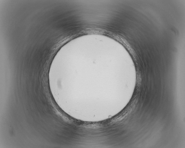 X0000111610433200908281054