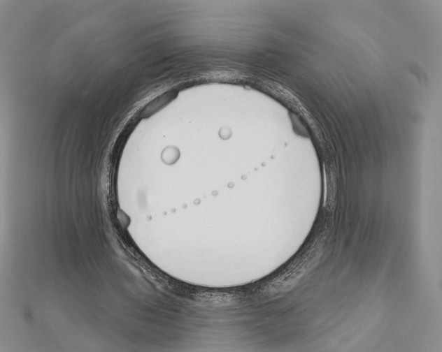 X0000111610435200908281054