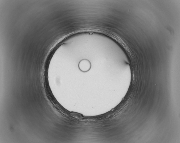 X0000111610436200908281054