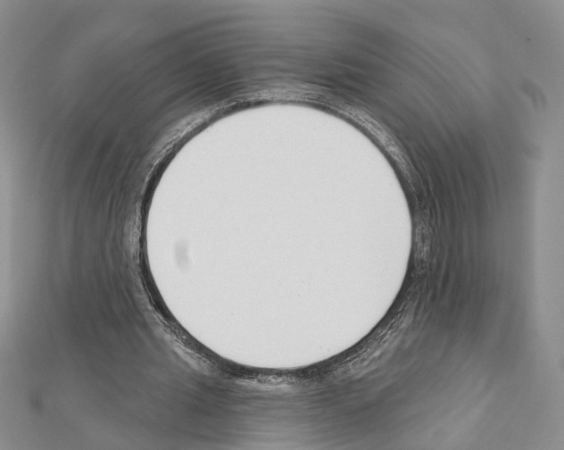 X0000111610437200908281054